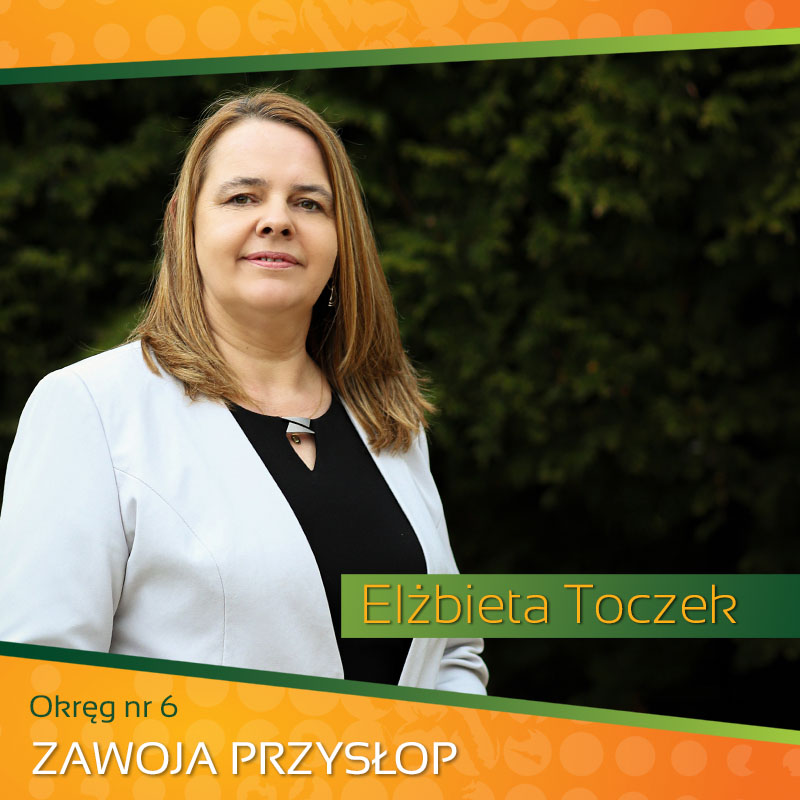 Okręg nr 6 - Elżbieta Toczek